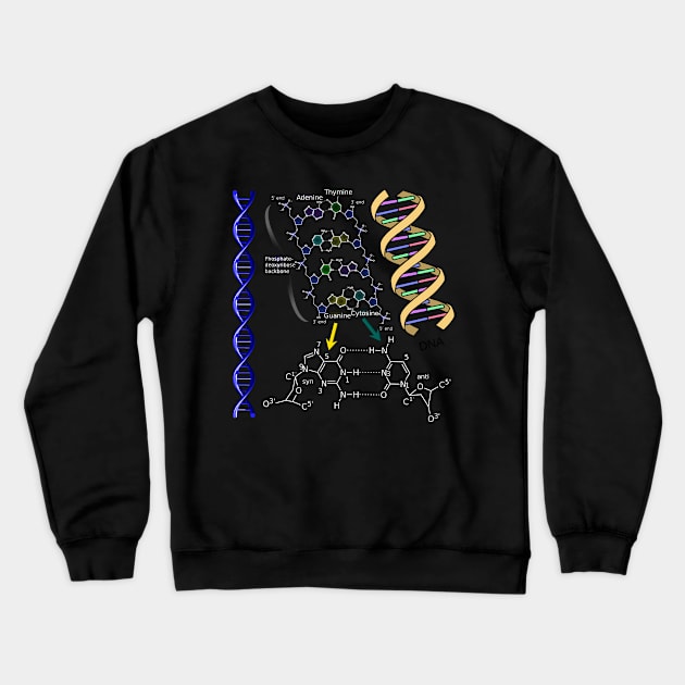 DNA Double Helix Chemical Formula Molecules Science Art Crewneck Sweatshirt by Brasilia Catholic